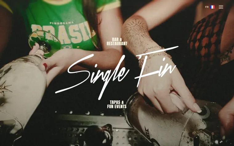 Singlefin homepage